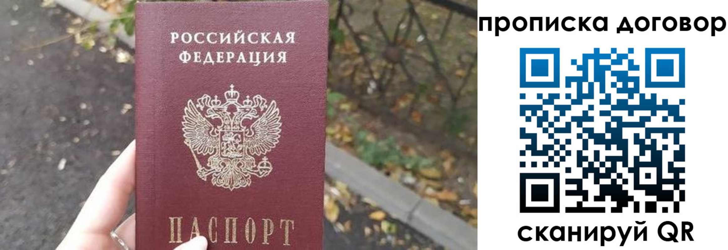 временная регистрация недорого в Щёлкино